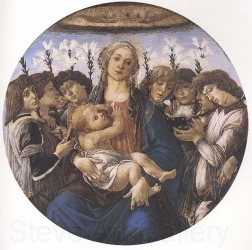 Sandro Botticelli Madonna and child with eight Angels or Raczinskj Tondo Spain oil painting art
